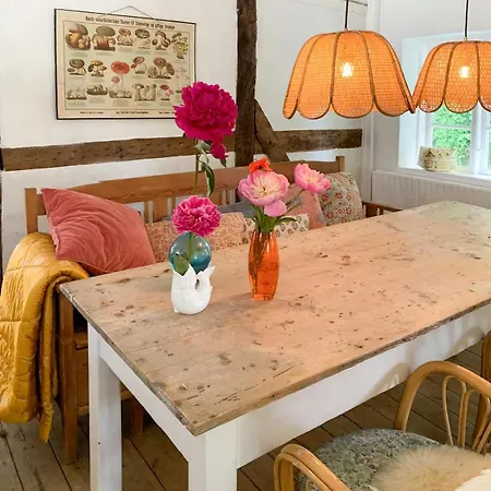 Nostalgic Charm In Lolland Timber House 尼斯泰兹
