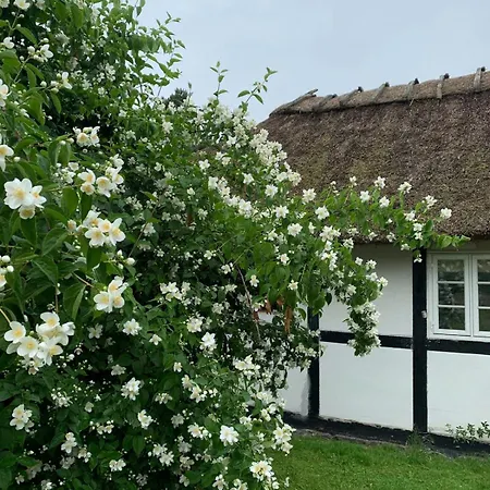 Nostalgic Charm In Lolland Timber House Дом отдыха Nysted
